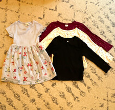 Gap Kids - Girls Size 3T Cotton Dress and Long Sleeve Shirts, Lot of 4 picture