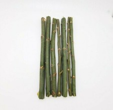 20 Austree Hybrid Willow Tree Cuttings Fast Growing Aussie For Direct Planting picture