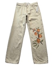 Urban Outfitters BDG Jeans Mens 30Wx30L Fruity Print Straight Relaxed Carpenter picture