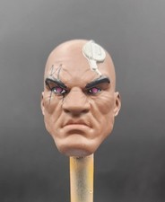 Marvel Legends Custom AoA Bishop Head 1/12 Scale Painted picture