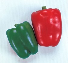 55+ California Wonder Bell Pepper BIG Heirloom Seeds NON-GMO Fresh Garden FAST picture