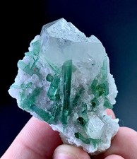 146 Carat Tourmaline With Quartz Crystal Specimen From Afghanistan picture