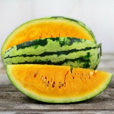 Orangeglo Watermelon Seeds | Heirloom / Non-GMO |  | 1041 picture