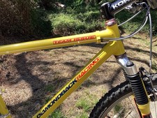 Diamondback DBR Team Issue Mountain Bike by Control Tech 19” MTB Vintage Rare picture