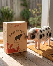 Sharp's Mini-Pig Food picture