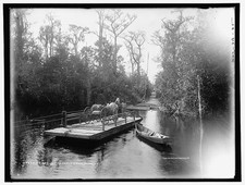 Photo:Oklawaha River Florida Ferry c1902 Carts Wagons River Crossing picture