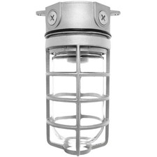 RAB Lighting VX100DG Vaporproof VX 4