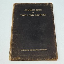 ANTIQUE c1915 COMMON BIRDS OF TOWN AND COUNTRY ILLUSTRATED BOOK picture