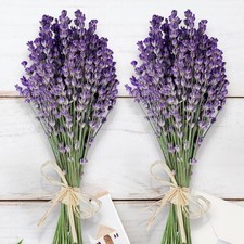 350 Stems 2 Bundles Dried Lavender Flowers, 17