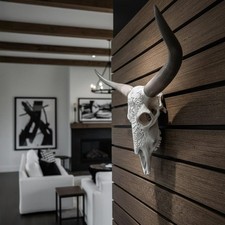 Decorative Steer Skull and Horns | 27.5” Wide | Wall Mount picture