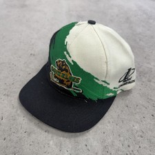 Vintage Denver Grizzlies Splash Logo Athletic Snapback Hat Cap OSFA IHL picture