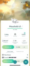 Maushold (Family of Three)-  TR-DE 20k stardust picture