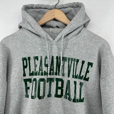 PLEASANTVILLE Hoodie Adult L FOOTBALL Panthers School Pullover Sweatshirt Gray picture