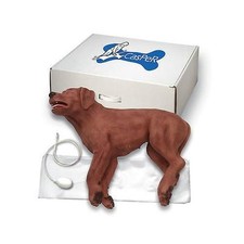 Brand New Simulaids CasPeR The CPR Dog #5000 picture