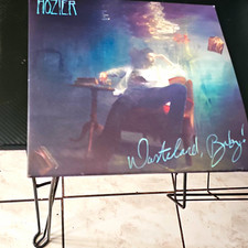 Hozier Wasteland, Baby Vinyl Record LP 12