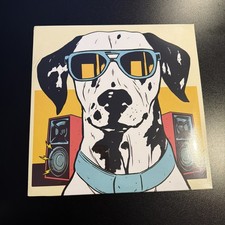 Sublime - Doin’ Time Remixes Vinyl Record Picture Disc Rare OOP Limited Z2 picture