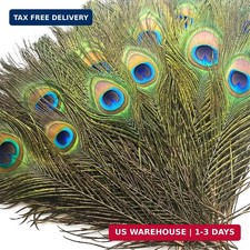 Piokio 50 Pcs Bulk Peacock Feathers, 10-12 inch picture