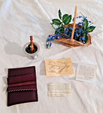 Felicity Pleasant Company Rescue Kit Complete Mint Retired  American Girl picture