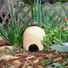 Terra Cotta Toad House picture