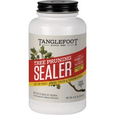 Tanglefoot Tree 8 Oz. Brushtop Applicator Pruning Sealer TF30008 Tanglefoot picture