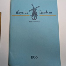1956 Wayside Gardens Nursery Catalog Garden Plants Flowers Mentor OH Vtg picture