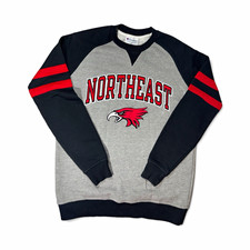 Vintage Champion Northeastern Huskies Sweatshirt Gray/Black/Red Size S picture