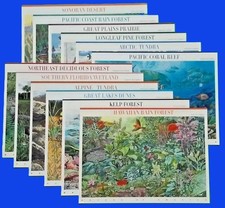 Complete Set of 12 MNH NATURE OF AMERICA Sheets US Stamps USA Sc 3293 - 4474 picture