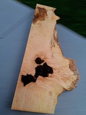 XXL INSANELY CURLY Birdseye WHITE MAPLE Burl wood Slab EPOXY Wood, Curly Maple picture