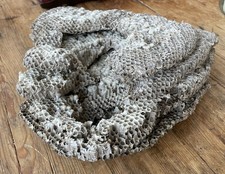 Multi-Tiered Real Paper Wasp Nest picture