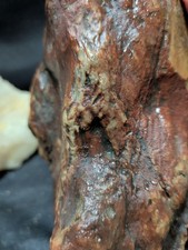Jasper Multicolored Polished Specimen (2lbs 11oz) picture
