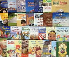 3rd GRADE READERS Level I-S Homeschool Books Fountas Pinnell Set #4 - Lot of 30 picture