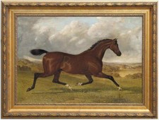 Old Master-Art Antique Oil Painting Portrait Runninghorse on Canvas picture