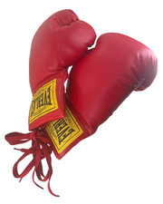 Everlast Red Lace Autograph Boxing Gloves picture