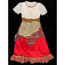 Goodmark Girls Gypsy Fortune Teller Costume Dress Multicolor Size L 10-12 picture