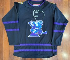 Orlando Solar Bears Alternate ECHL Minor League Hockey Jersey - Athletic Knit L picture