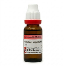 Dr. Reckeweg Caladium seguinum Q Mother Tincture 20ml  picture