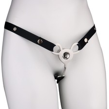 FRRK Metal Negative Chastity Device Belt BDSM Lock With Plug Restraint For Men picture