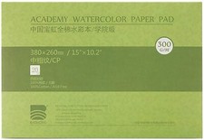 BAOHONG Academy Grade Watercolor Painting Paper, 100%Cotton Cold Press, 20 Sheet picture