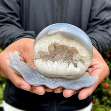 395G  Hand Carved Agate Amethyst Druzy Snail Crystal Animal Statue Healing Decor picture