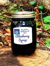 Elderberry Syrup - Organic Ingredients - 16oz picture