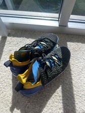 nike lebron 8 v/2 entourage  picture