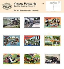 Catskills Greetings, NY  (Series 3) Lot of 9 Rare  Antique Repro Postcards picture