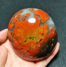 RARE 391g Natural Warring States Red agate Stone Healing WD1760 picture