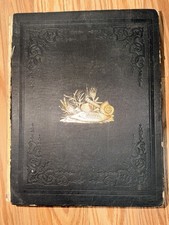 Antique 19thC Palaeontology of New York James Hall Vols I II III V Plates Lot picture