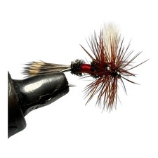 One Dozen (12) - Royal Wulff - Dry Fly picture