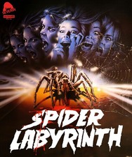 The Spider Labyrinth [New 4K UHD Blu-ray] picture