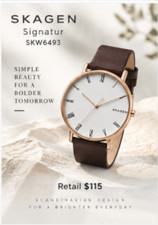 Skagen Signatur Leather Strap Watch picture