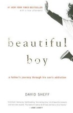 Beautiful Boy: A Father's Journey Through His Son's Addiction by David Sheff picture