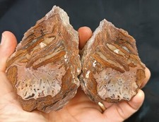 720g/1.59 lb turkish rhyolite agate stone rough, customs duty included picture