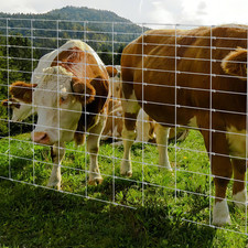 Galvanized Livestock Metal Mesh Panel –Knotted Fence Wire Fencing 6ftx328ft picture